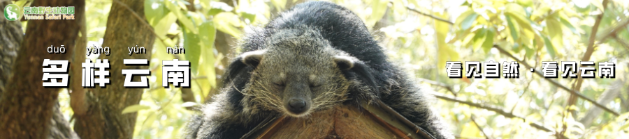 云南野生动物园