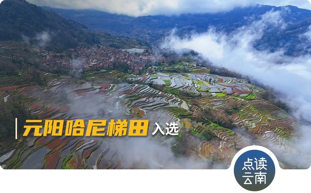 云南省人民政府