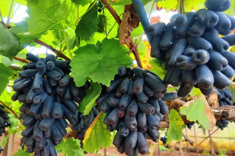 晋宁 诗意的栖居地