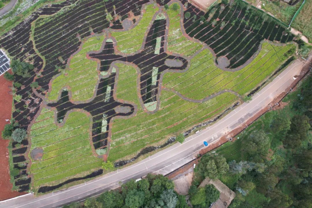 昆明阳宗海风景名胜区