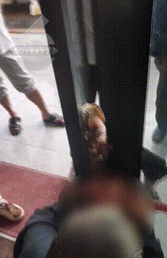 8099999街头巷尾微信