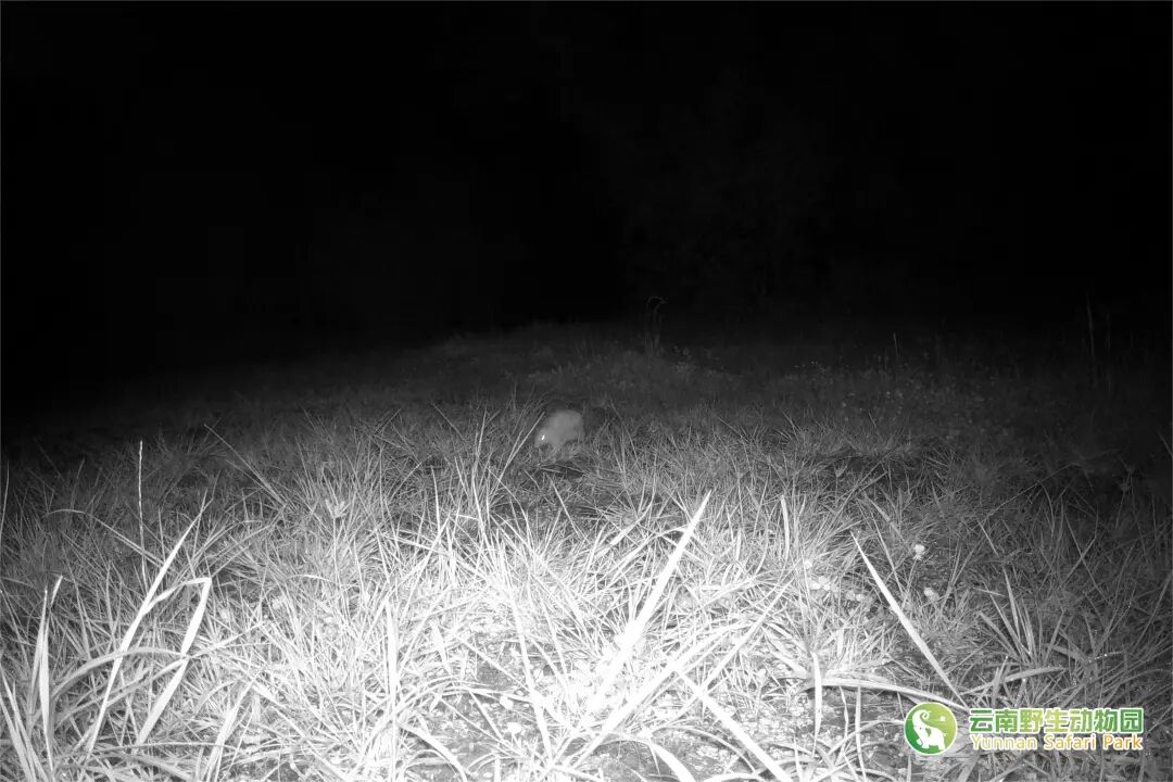 云南野生动物园