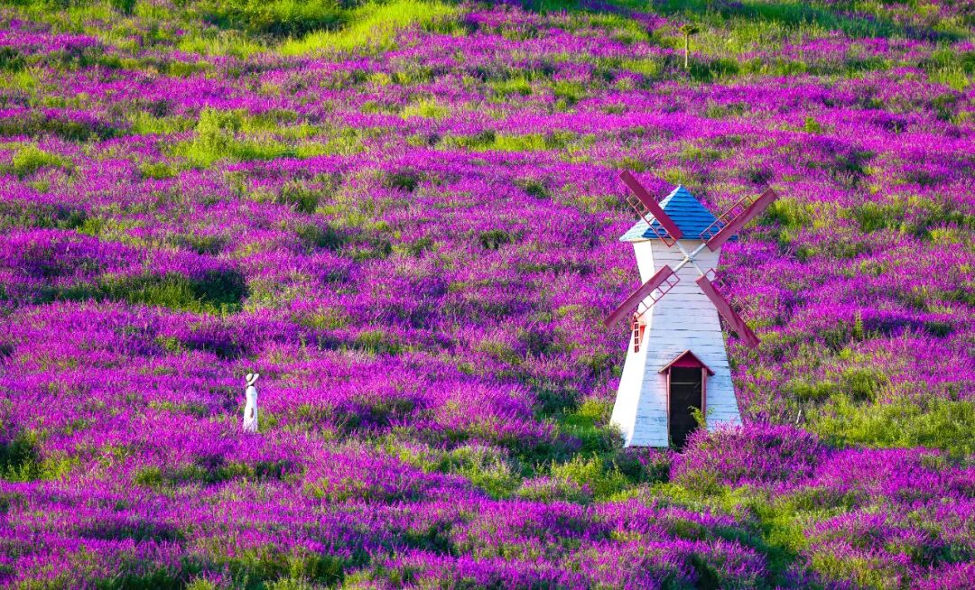 昆明阳宗海风景名胜区