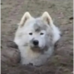 昆明市妇幼保健院