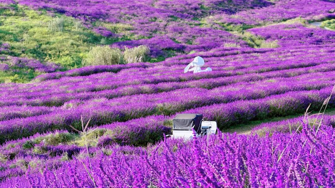 昆明阳宗海风景名胜区