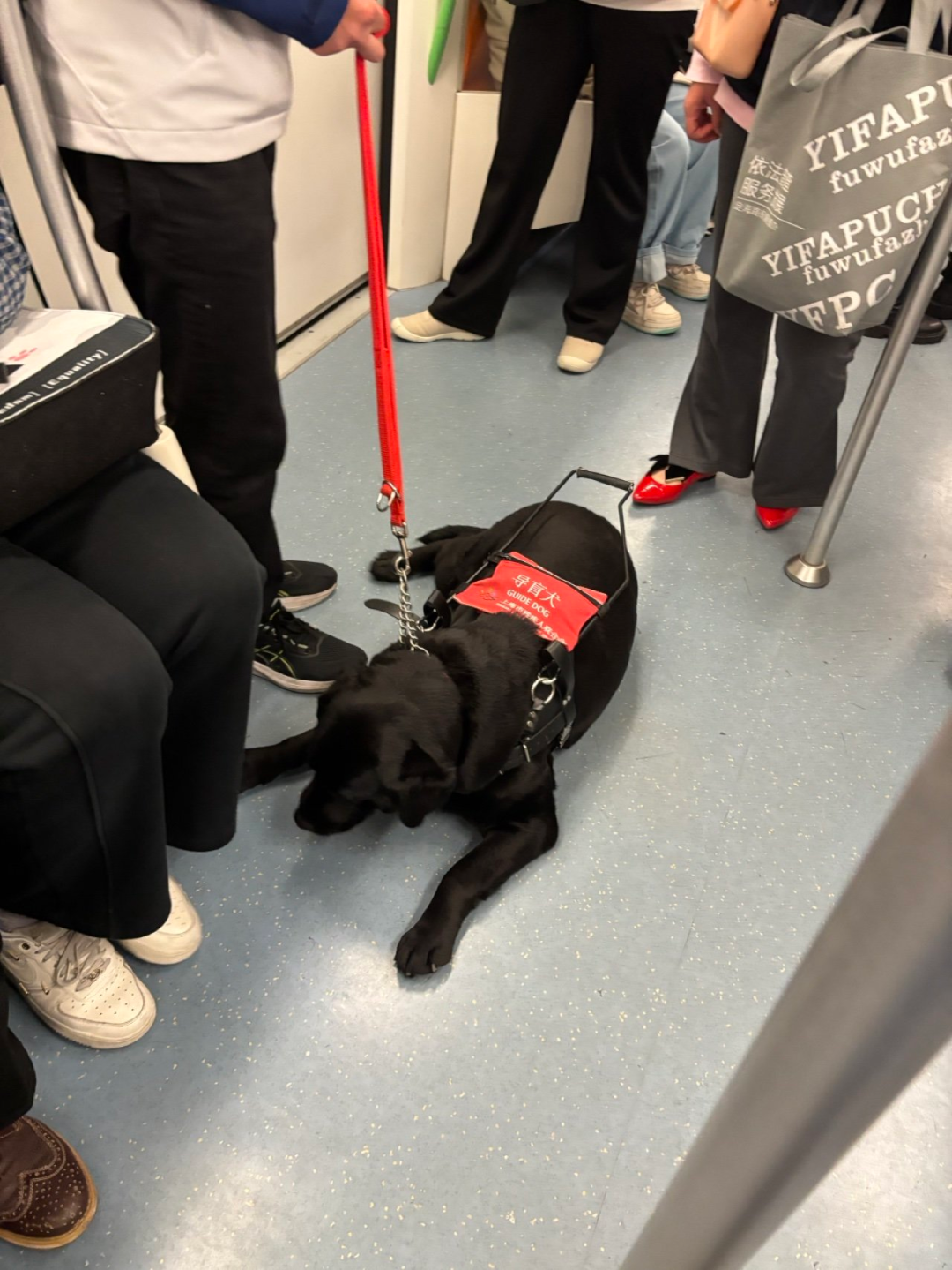 8099999街头巷尾微信