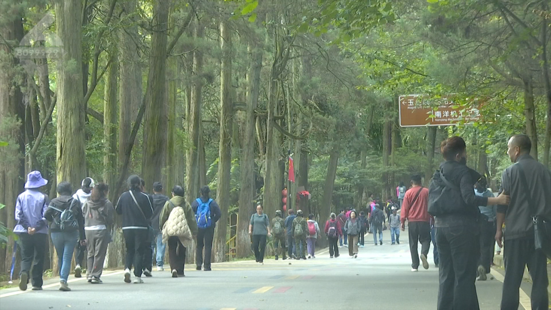 8099999街头巷尾微信