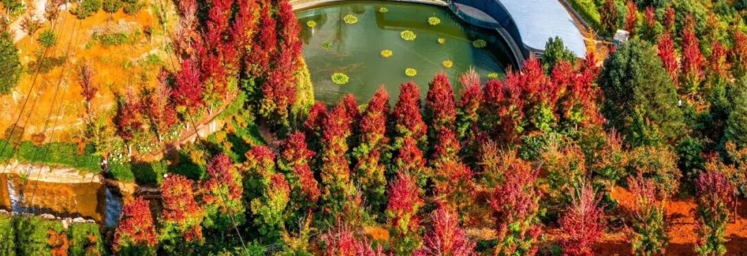 昆明阳宗海风景名胜区