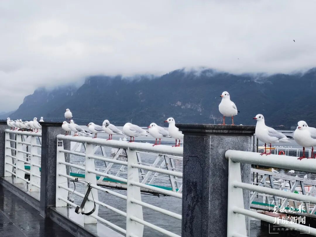 昆明广播电视台