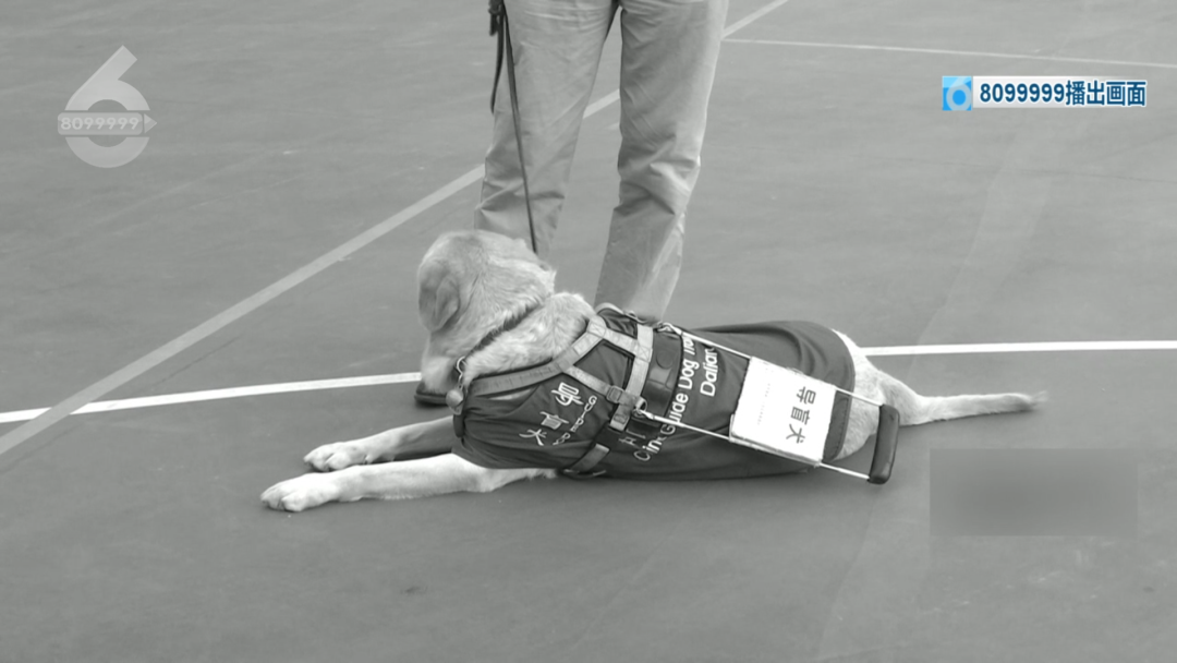 8099999街头巷尾微信