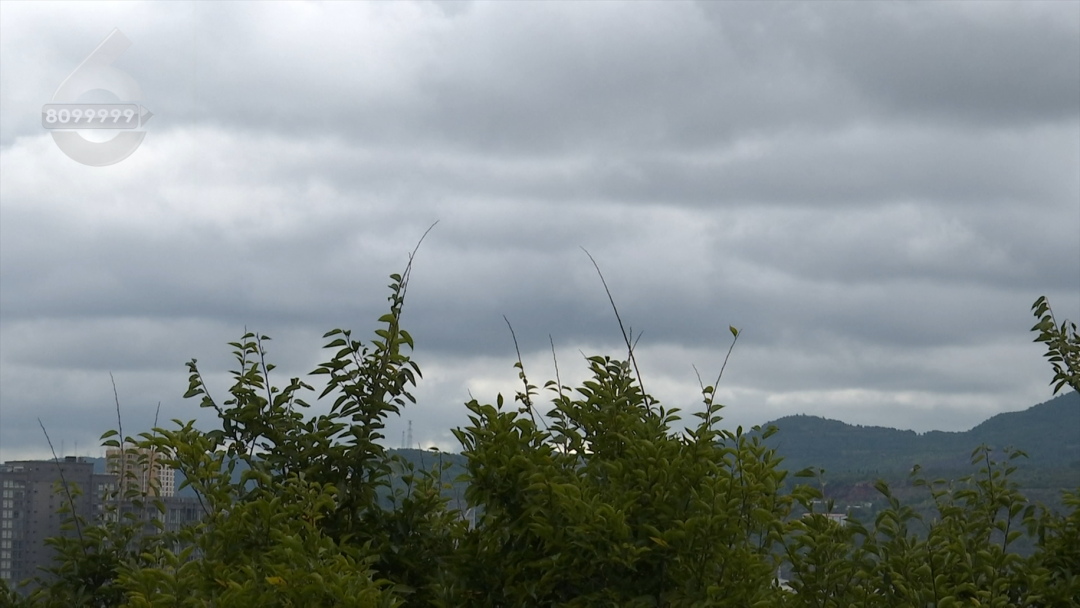 8099999街头巷尾微信