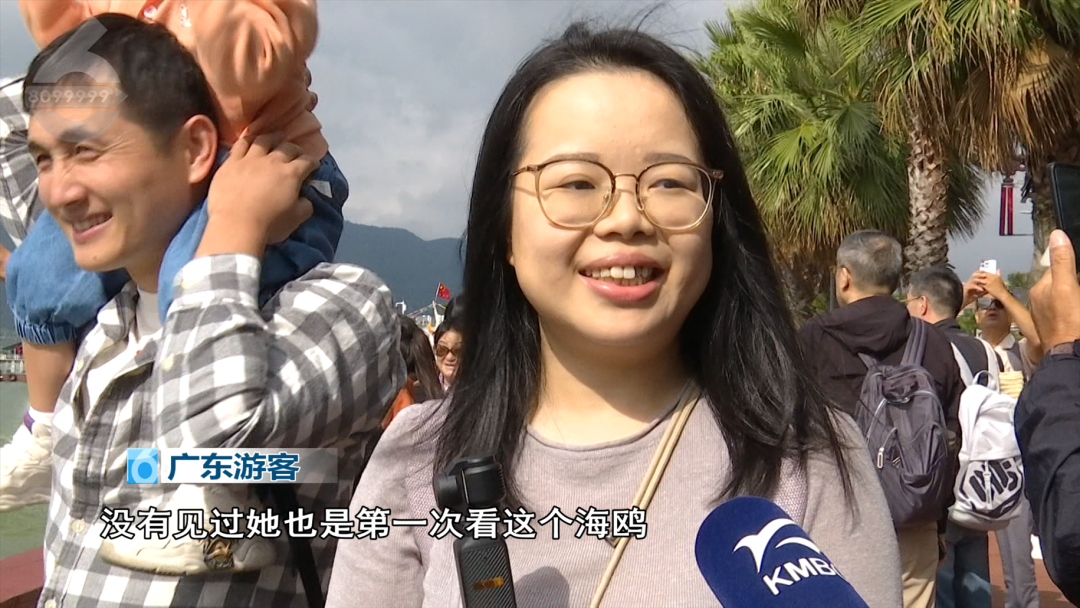 8099999街头巷尾微信