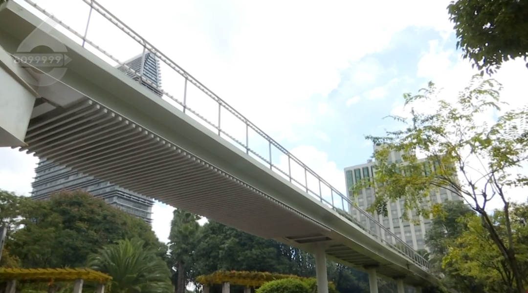 8099999街头巷尾微信