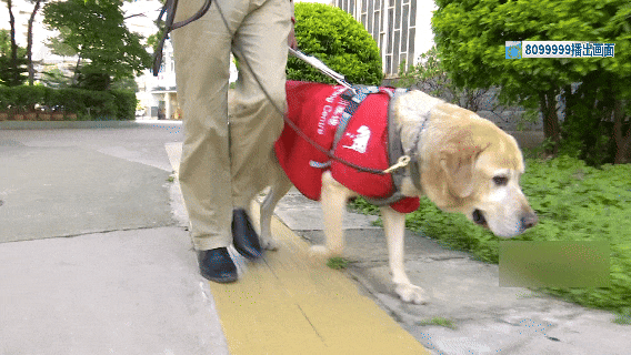 8099999街头巷尾微信