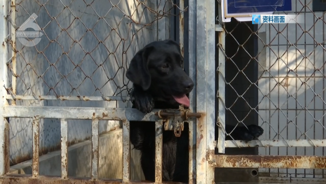 8099999街头巷尾微信