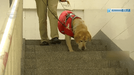 8099999街头巷尾微信