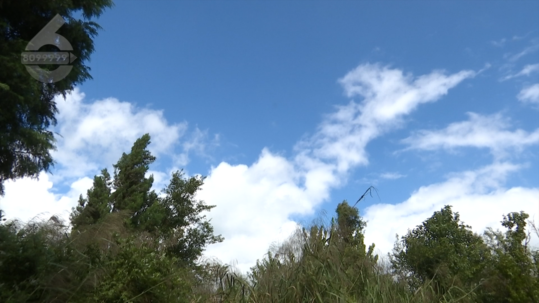 8099999街头巷尾微信