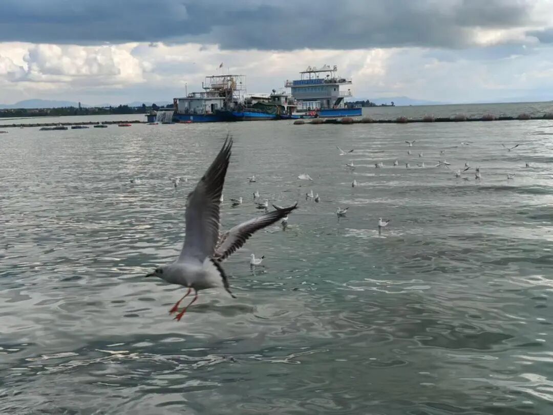 8099999街头巷尾微信