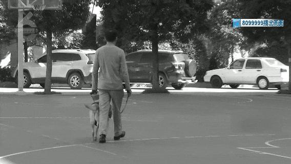 8099999街头巷尾微信