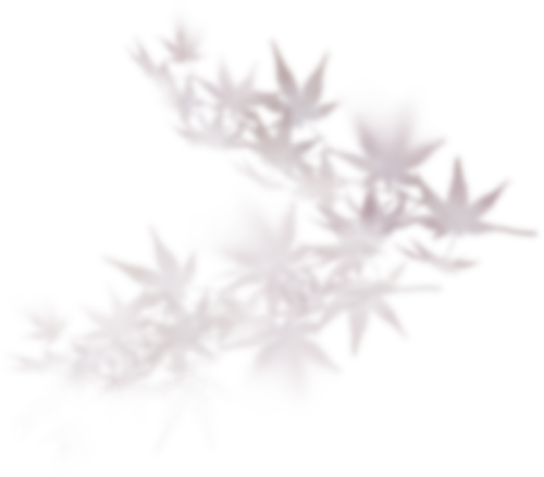 昆明公共文化云