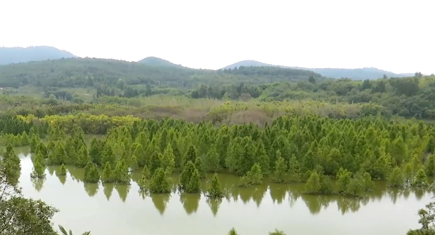 昆明广播电视台