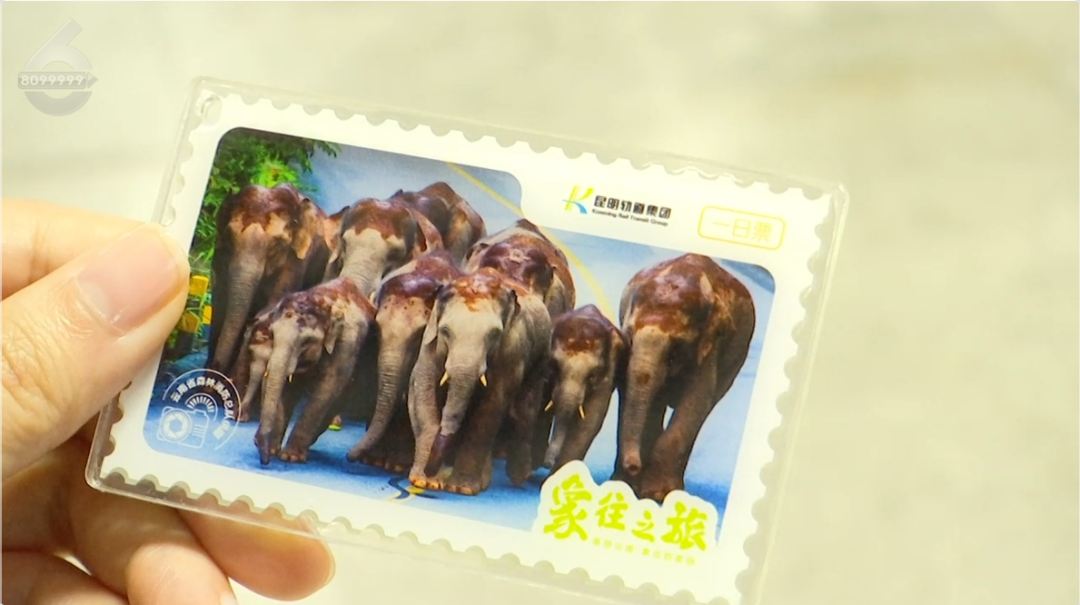 8099999街头巷尾微信