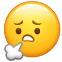 8099999街头巷尾微信