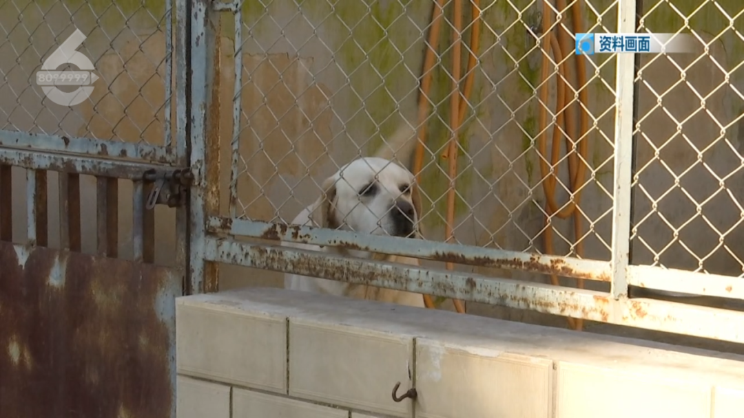 8099999街头巷尾微信