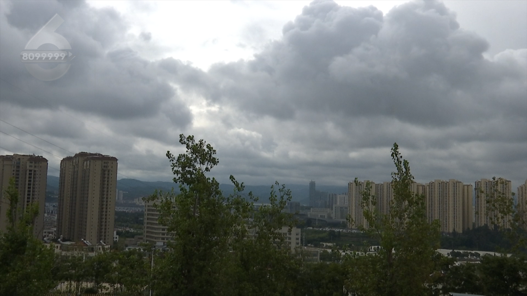 8099999街头巷尾微信