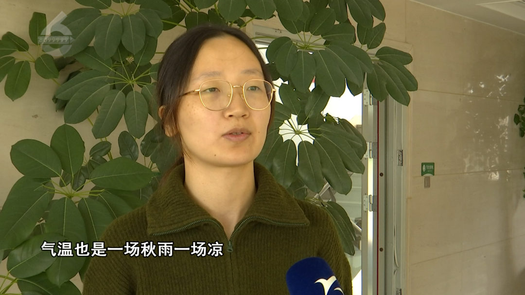 8099999街头巷尾微信