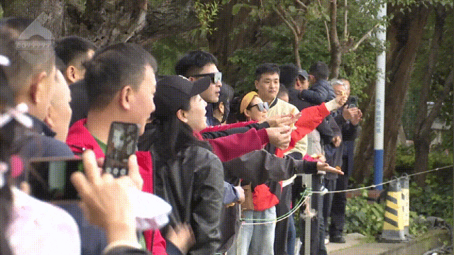 8099999街头巷尾微信