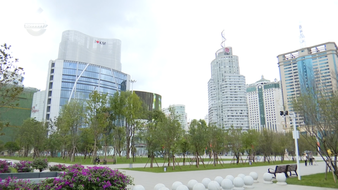 8099999街头巷尾微信