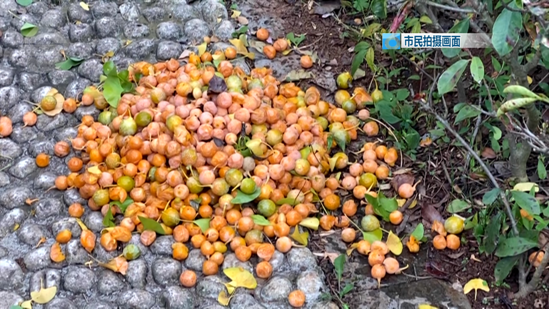 昆明广播电视台