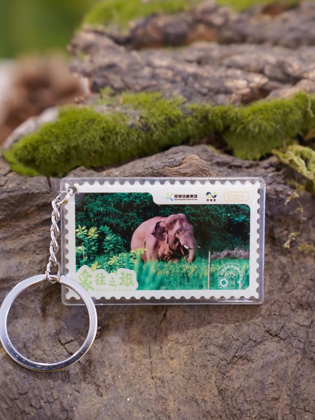 8099999街头巷尾微信