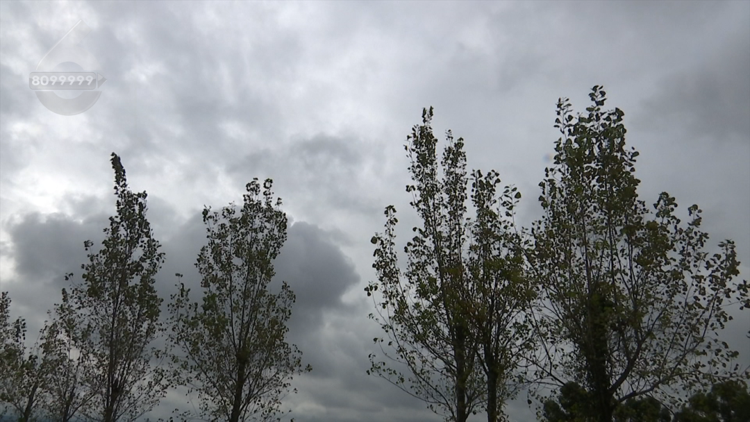 8099999街头巷尾微信