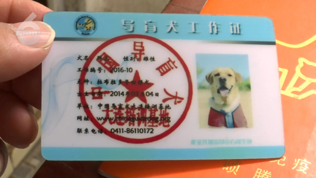 8099999街头巷尾微信