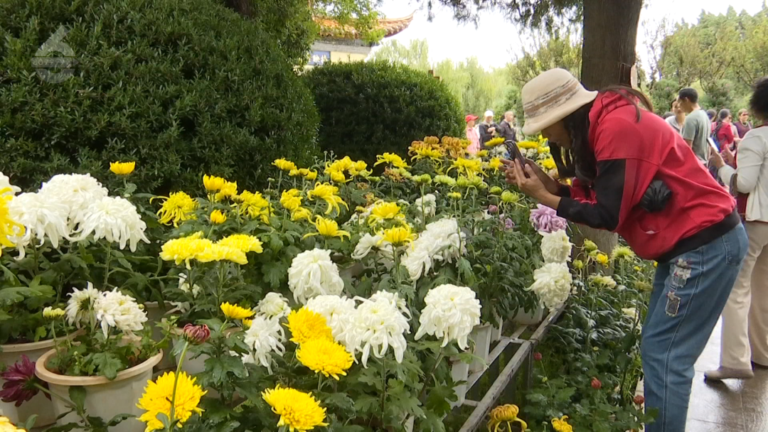 8099999街头巷尾微信