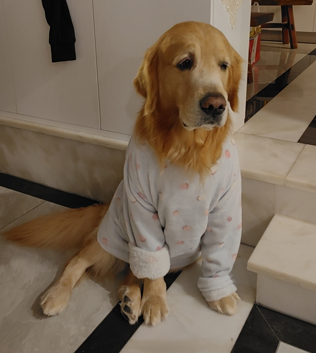 8099999街头巷尾微信