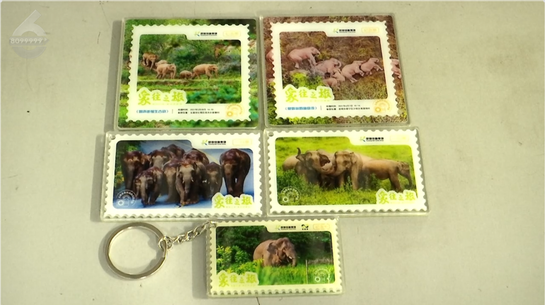 8099999街头巷尾微信