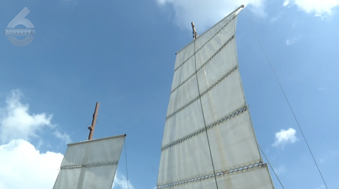 8099999街头巷尾微信