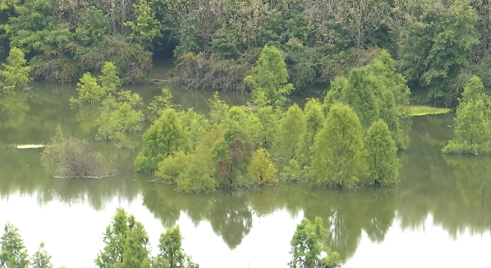 昆明广播电视台