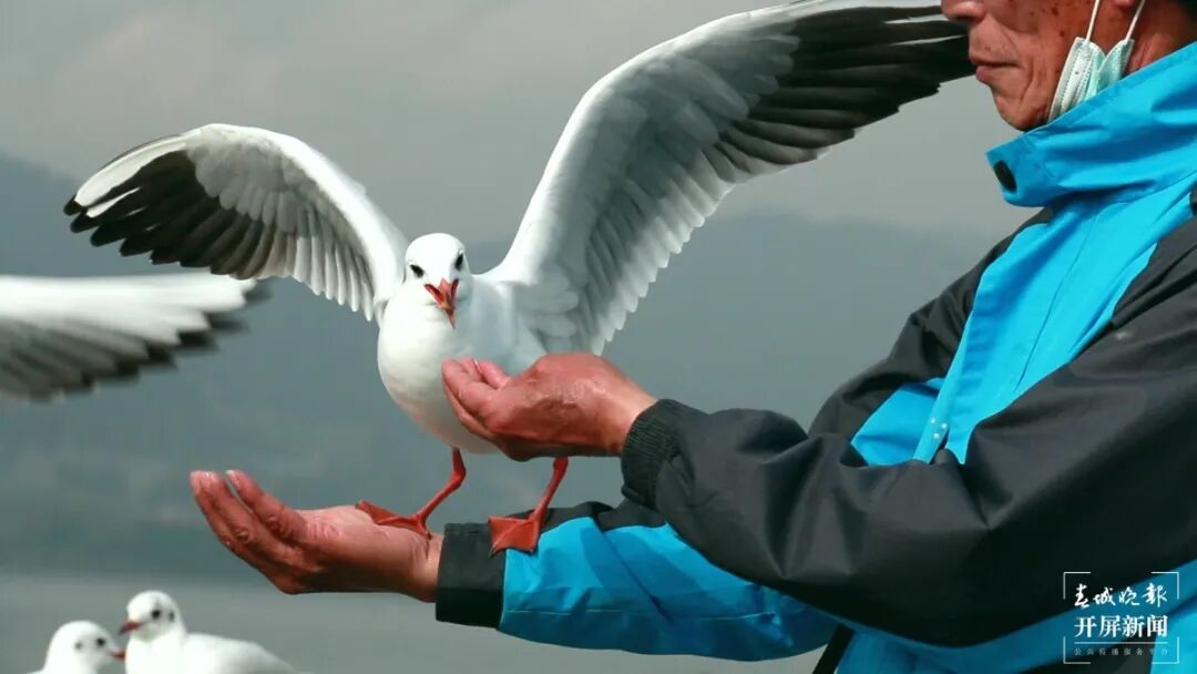 昆明广播电视台