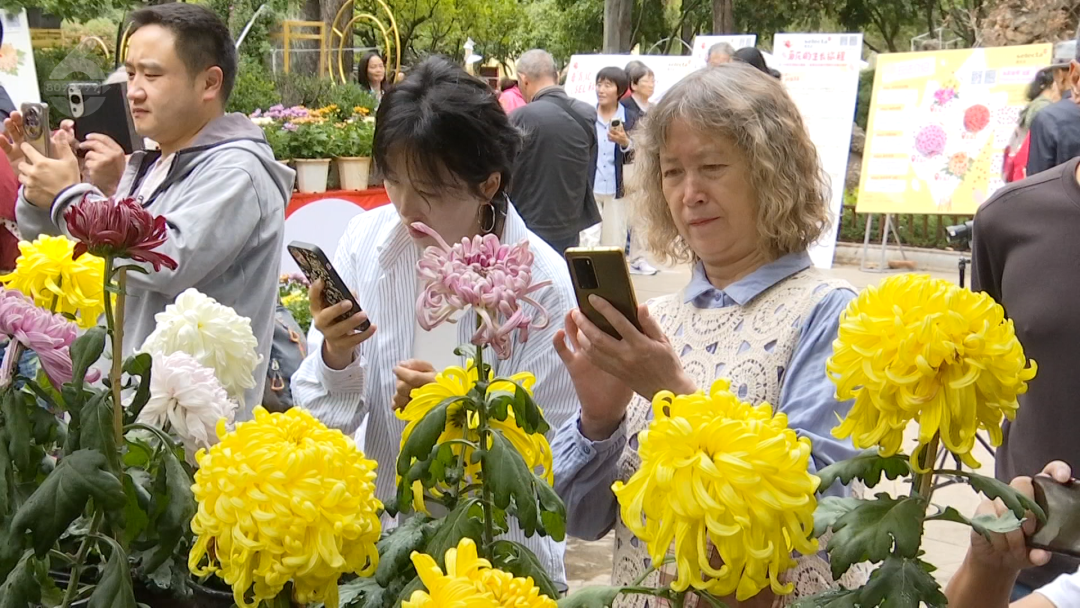 8099999街头巷尾微信