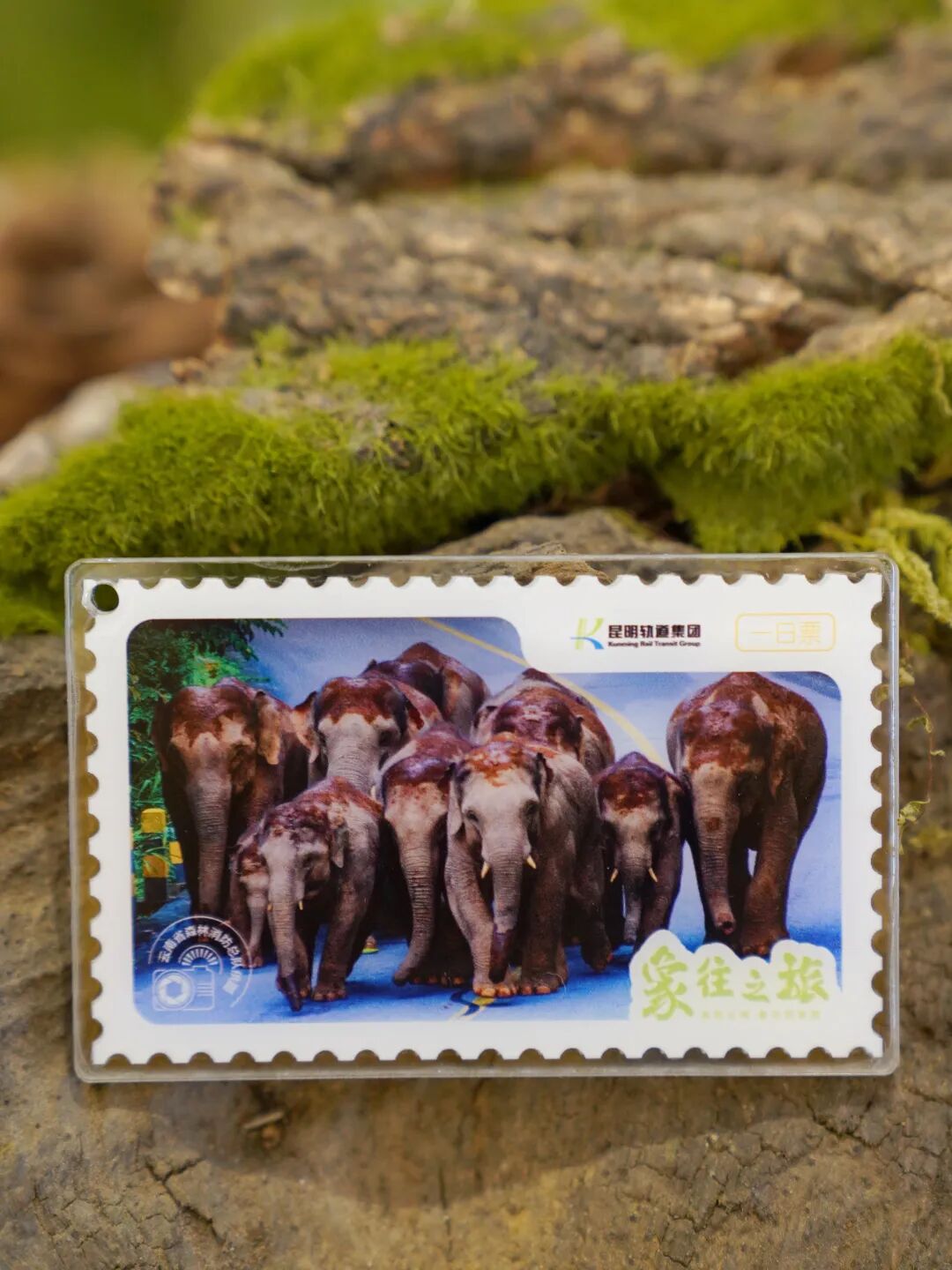 8099999街头巷尾微信