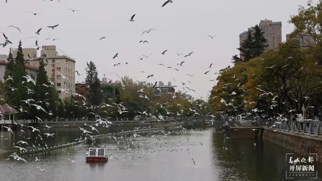 昆明广播电视台