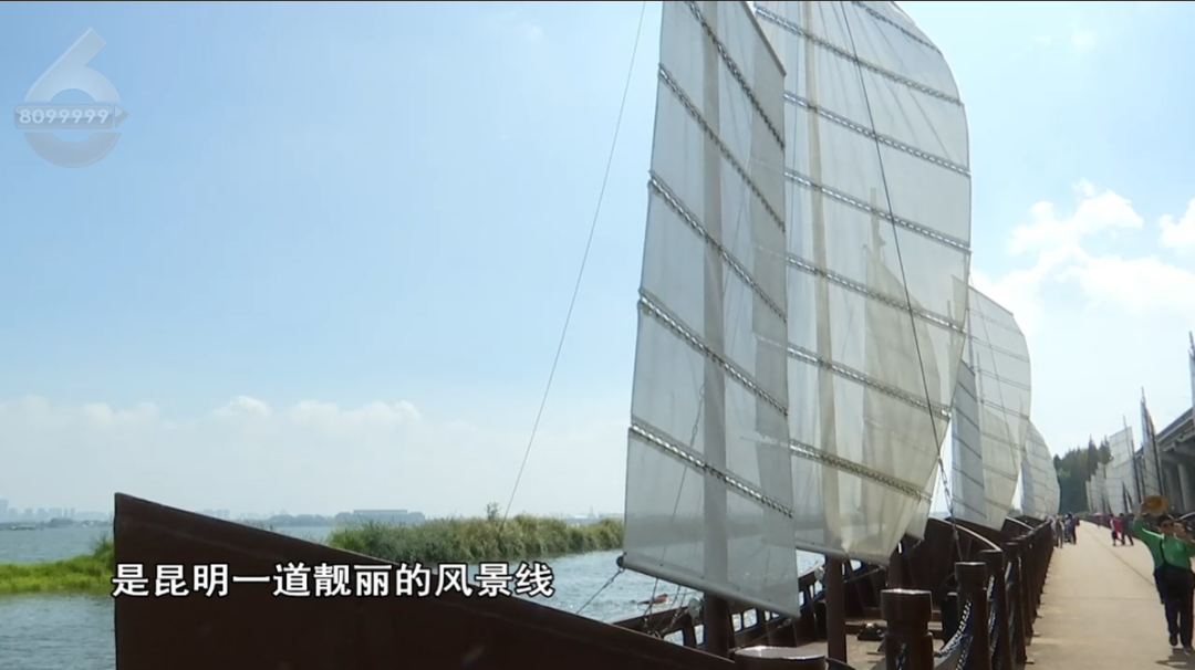 8099999街头巷尾微信