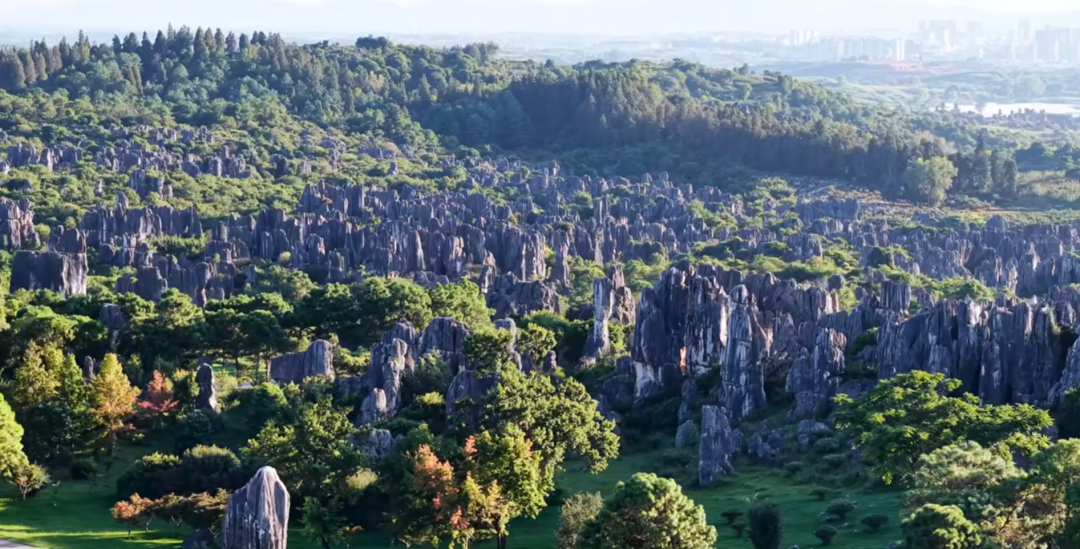 8099999街头巷尾微信