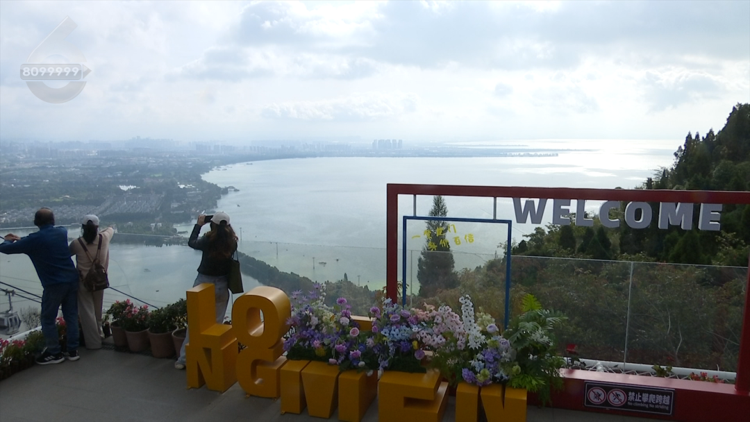 8099999街头巷尾微信