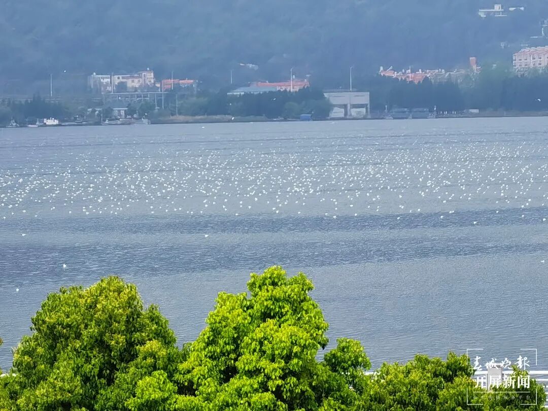 昆明广播电视台