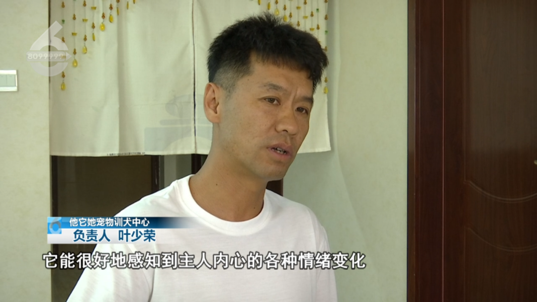 8099999街头巷尾微信